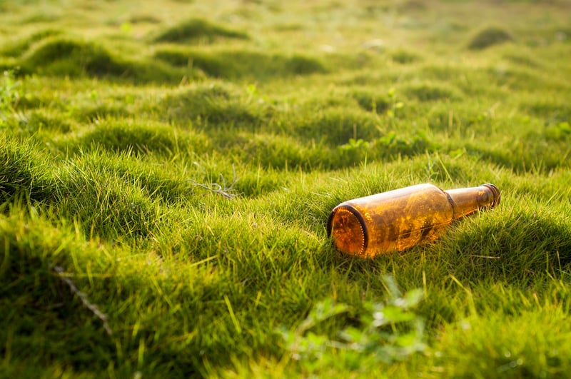Environmental Consulting